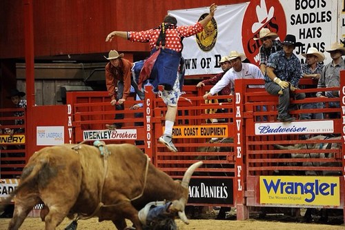sramseyrodeo Profile Picture