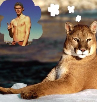 This is a support account for Cody's OLDER Angels! Haters gonna hate! Cody follows!