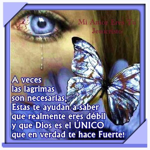 laurixca's profile picture. 