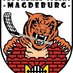 Tigers Magdeburg (@tigersmagdeburg) Twitter profile photo Tigers Magdeburg (@tigersmagdeburg) Twitter profile photo
