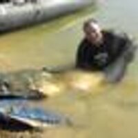 Dave Mutton (@catfishinguk) Twitter profile photo