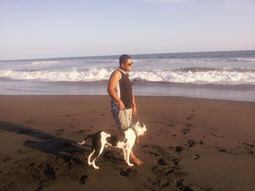 Harold2922's profile picture. 