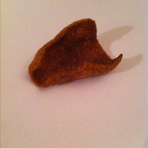 Gegroet aardemensen op dit account ga ik jullie duidelijk maken hoe het leven van een kroepoek eruitziet druk op onze volgknop!