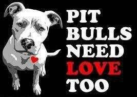 johannamuriel24's profile picture. 