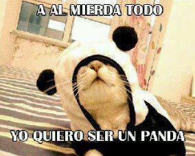 violador ok no XD