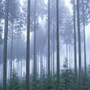 Bella Owen - @owen_bella - Twitter