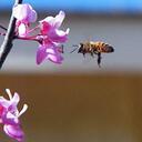 Fran Carlson - @fanddcarlson - Twitter