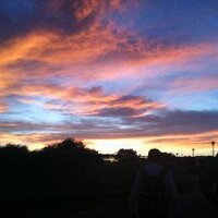 Maple Reefer (@maplereefer) 's Twitter Profile