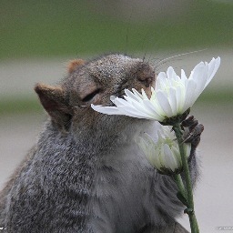 giada_rh's profile picture. Antique dealer in love with contemporary art and Plastic Animal Brooches Maker. My antique shop is @CrazyArtMilano and my brooches shop (always on vacation) 👇