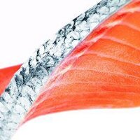 Ōra King salmon (@orakingsalmonnz) 's Twitter Profile