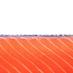 Ōra King salmon (@orakingsalmonau) Twitter profile photo
