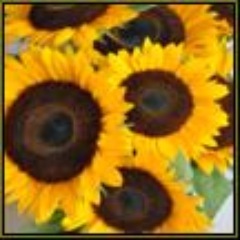 Eating Disorder Treatment Collaborative/
Facilitated Eating Events and Direction