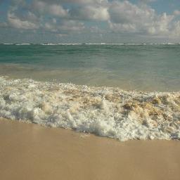 consciousspace's profile picture. 