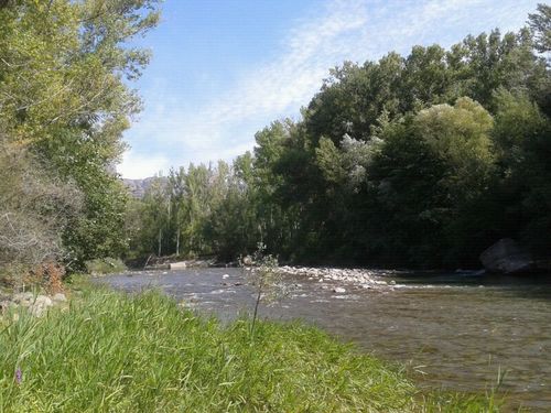 AsunBoixareu's profile picture. 