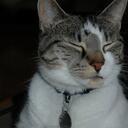 Anna Preziosi - @amprez - Twitter