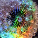 Kathy Markley - @markley_kathy - Twitter