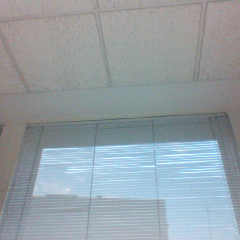 FernandoGamallo's profile picture. Proud, Happy & Amazing