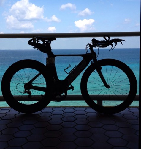 rptoy's profile picture. 