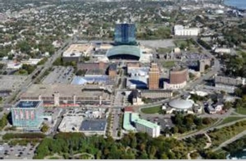 NF_Politics's profile picture. 