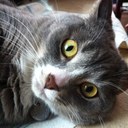 Caroline Fortier - @FortierCaroline - Twitter