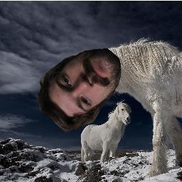 AaronWaltherr's profile picture. Hambone