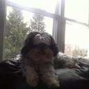 Dan Kelleher - @Kelleher88 - Twitter