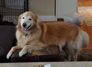 dkd43's profile picture. 