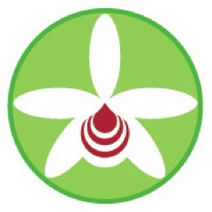 Centro de estética y salud. Estamos ubicados en la torre Banco Lara, piso 3, ofic C2. La Castellana. Telf: 02122635336 - 02122633563