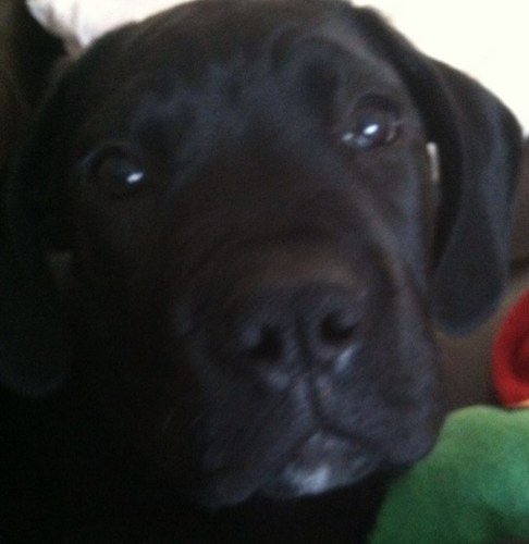 sndobbins's profile picture. 