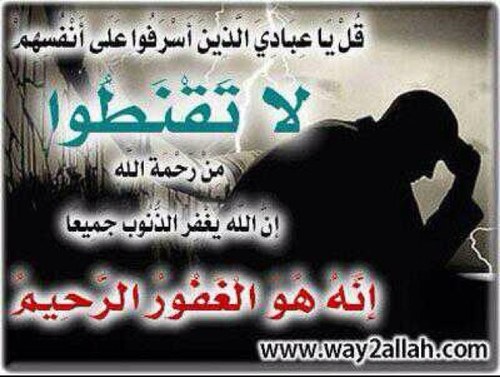 KingYaf3's profile picture. 