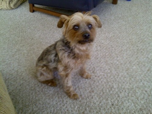 jerrybiga's profile picture. 