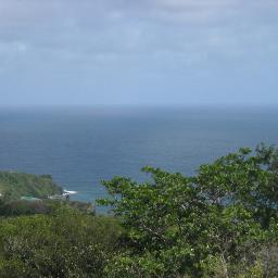 starkidamraz's profile picture. *****spectacular, super  fun n kool**