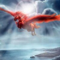 Nano C (@pegasorojo) 's Twitter Profile