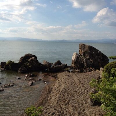 てすと