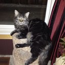 Laurie Schock Martin - @LaurieSchock - Twitter