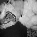 Miranda Waters - @MirandaWaters7 - Twitter