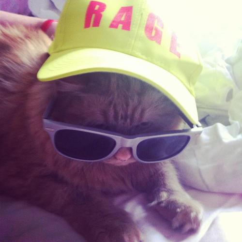 RealBigNastyAl's profile picture. 