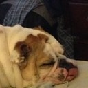 John Mac Daniels - @johnmacdan01 - Twitter