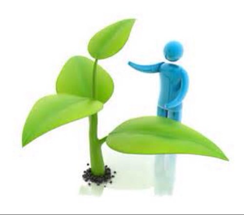 BusinessSource1's profile picture. 