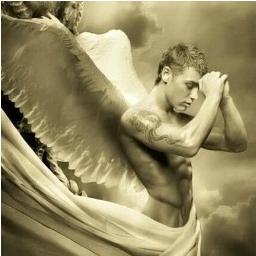 doveman63's profile picture. 