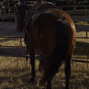 Mandi Morris - @mandikmorris - Twitter