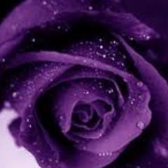 Romance Junkie! Proud Mom of 3! love doula and self proclaimed Medium.. I SEE DEAD PEOPLE!!

Vancouver BC