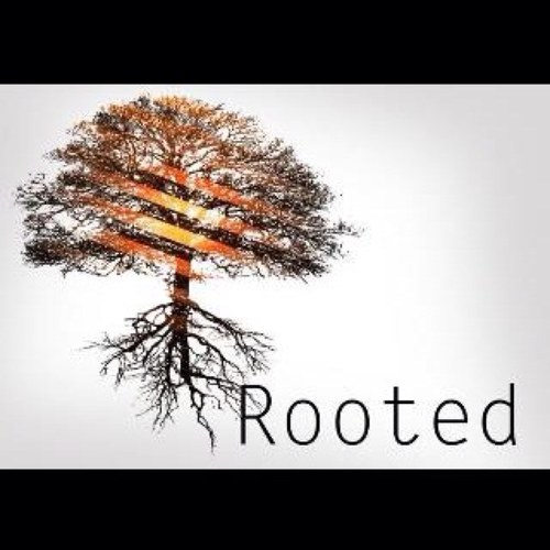 rootedyouth1's profile picture. 