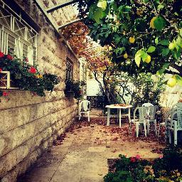 في مواجهة الجهل