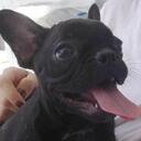 Amy New Congo - @amyncongo - Twitter