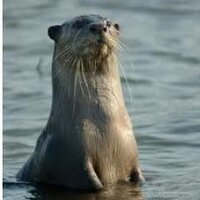 George Monbiot (@georgemonbiot) 's Twitter Profile Photo George Monbiot (@georgemonbiot) 's Twitter Profile Photo