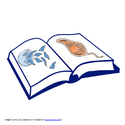 MalaLeishDigest's profile picture. Global health, gender equity, research strategy, cardiovascular disease and parasites. particular soft spots for Leishmania and Malaria.