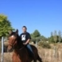 ShaunHarry (@shaunharry1) 's Twitter Profile