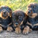 Guillermo Millan - @GuillermoMill10 - Twitter