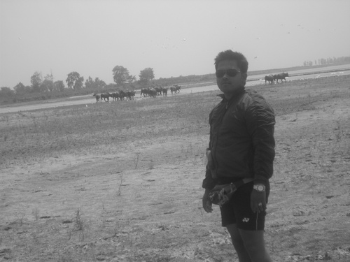I am a human being born on earth and i am doing every time what i haved gained since i have born.